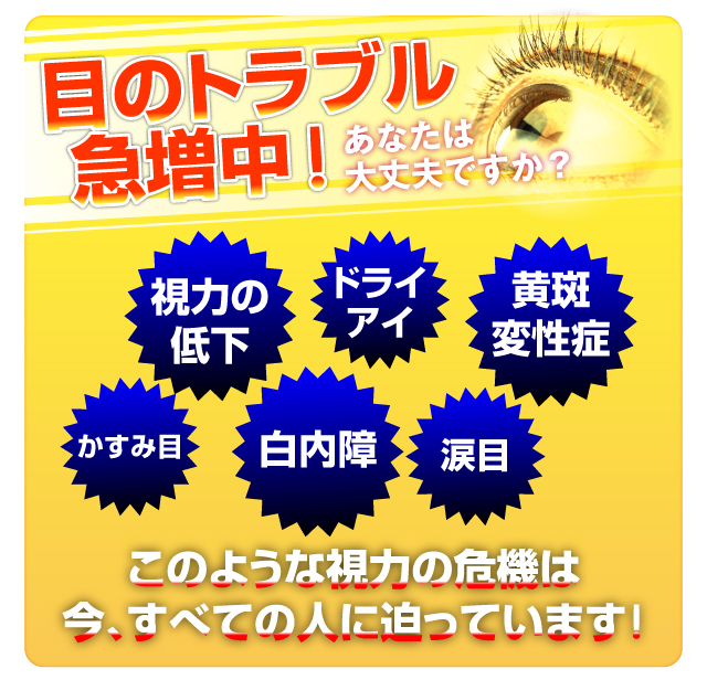 目のトラブル：視力の低下、ドライアイ、黄斑変性症、かすみ目、白内障、涙目
