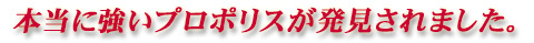 本当に強いプロポリスが発見されました