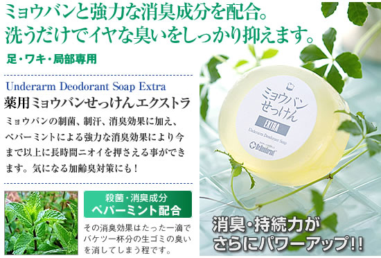 薬用ミョウバン石鹸EX
