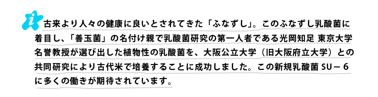 東京大学 光岡知足 名誉教授の選び出した植物性の乳酸菌を大阪府立大学の共同研究により古代米で培養することに成功